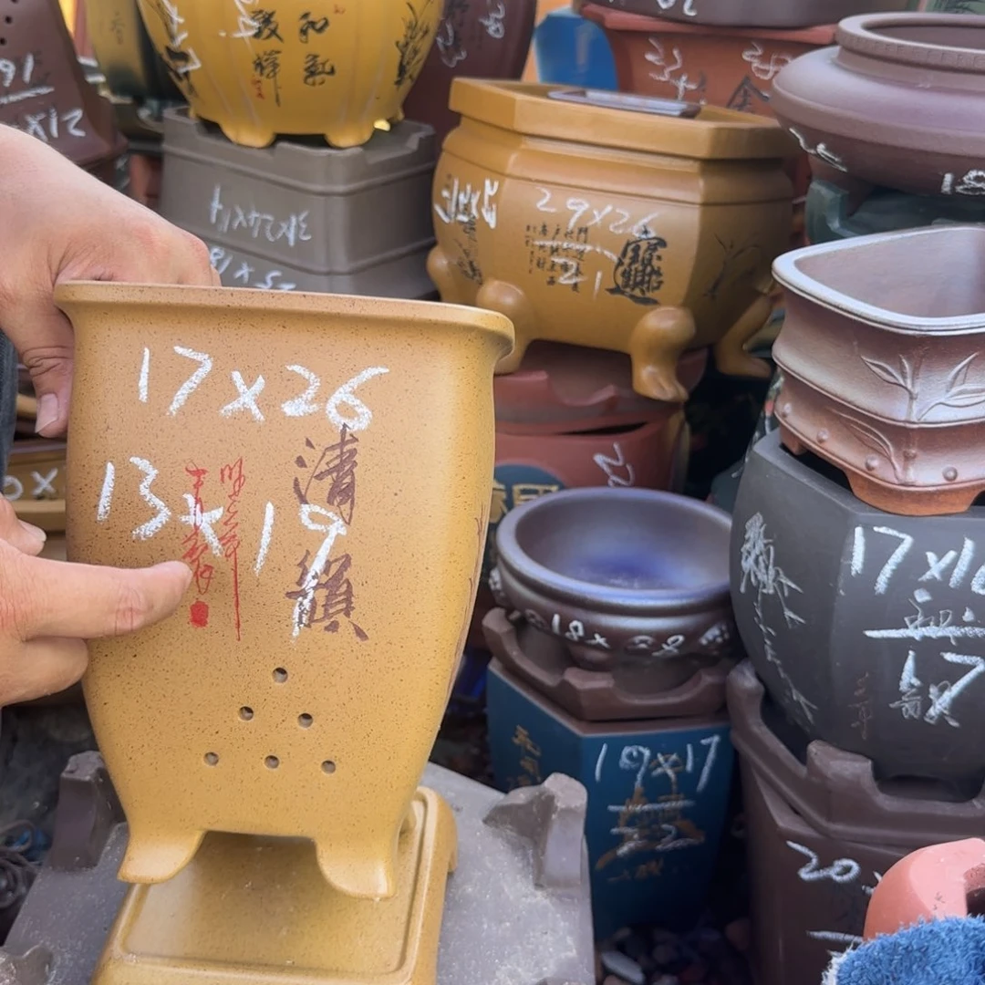 紫砂花盆紫砂花盆花盆盆景盆栽