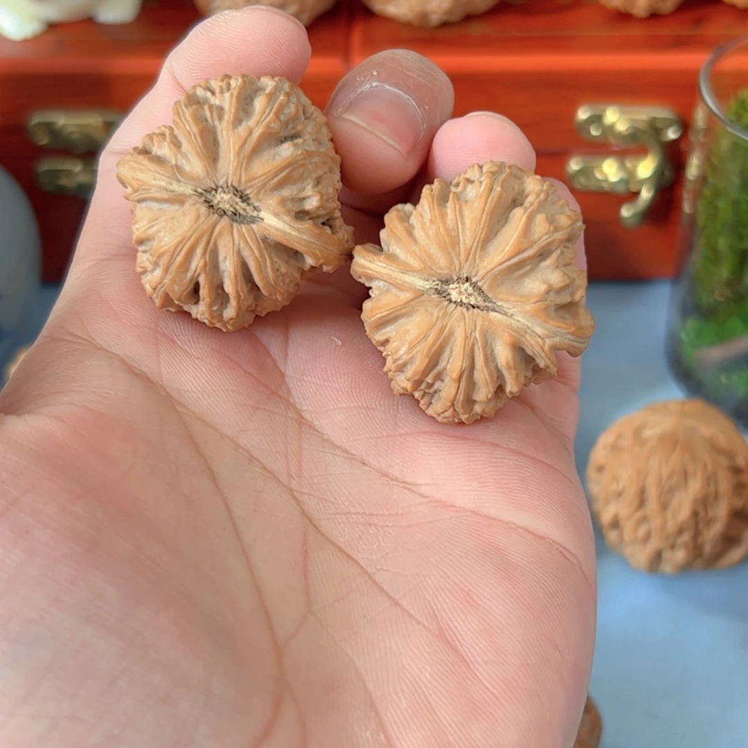 文玩核桃把件福利小白狮子