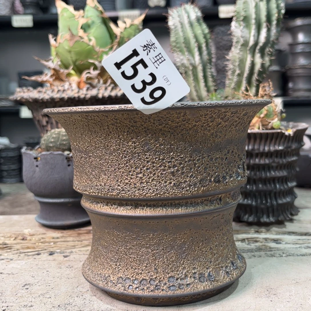 陶内口15.5高12.5景德镇