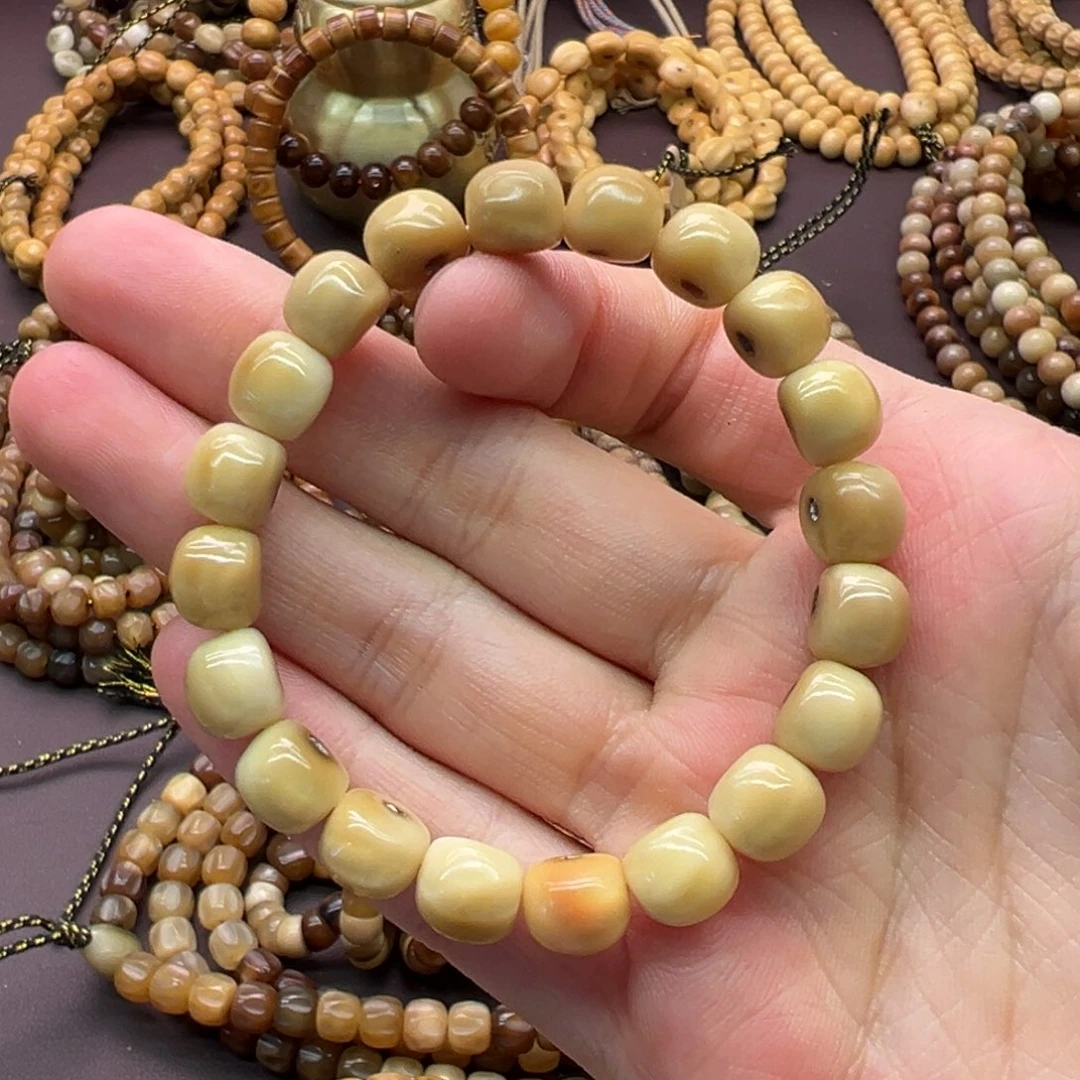 雪***)龙脊菩提吊坠原籽