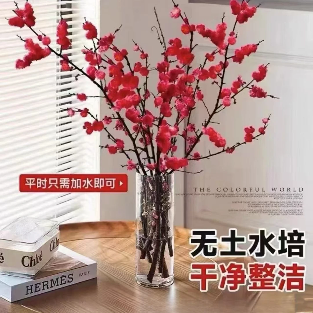 新鲜带花苞鲜枝红梅色粉桃花干支鲜切现剪现发【2月4日陆续发出】