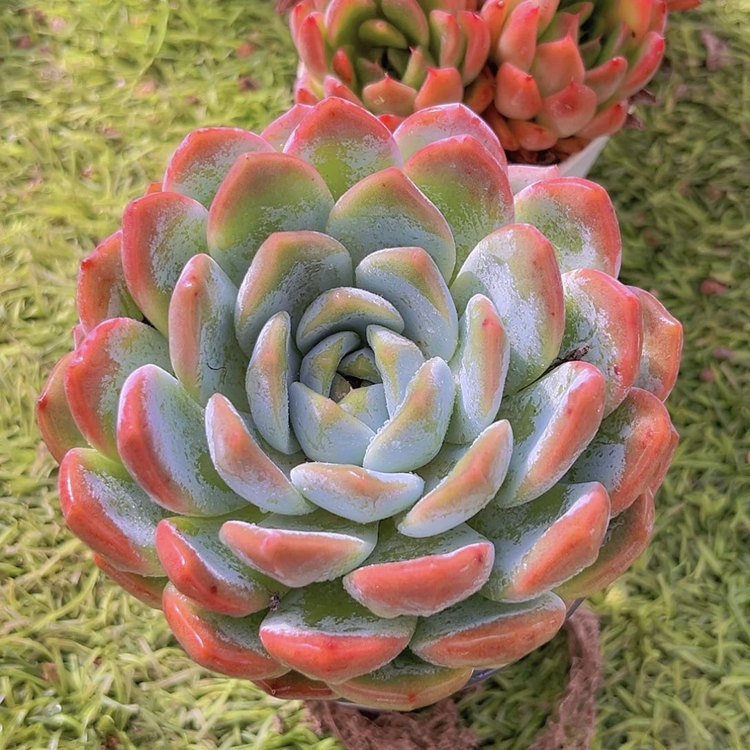 15号898888888888888