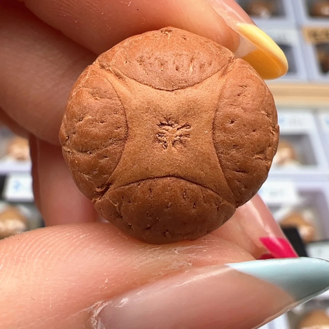 凤眼菩提吊坠麒麟福利单颗18.6