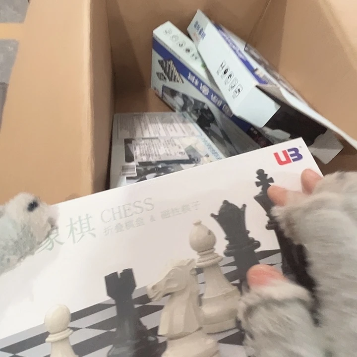 磁石国际象棋小。