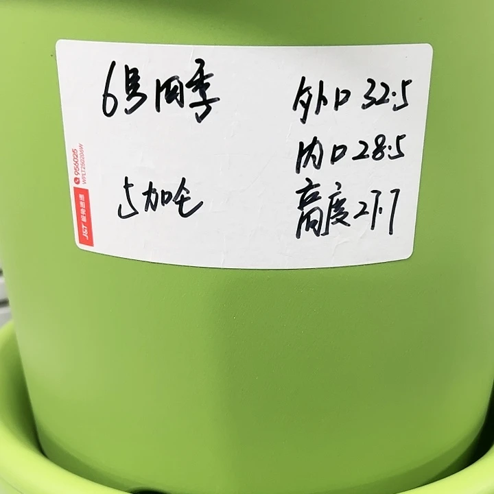 特价6号口32.5高27白色4只无托
