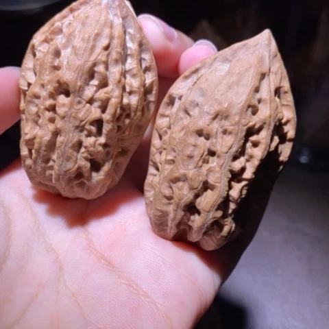 把件文玩核桃东北野生楸子小园 232