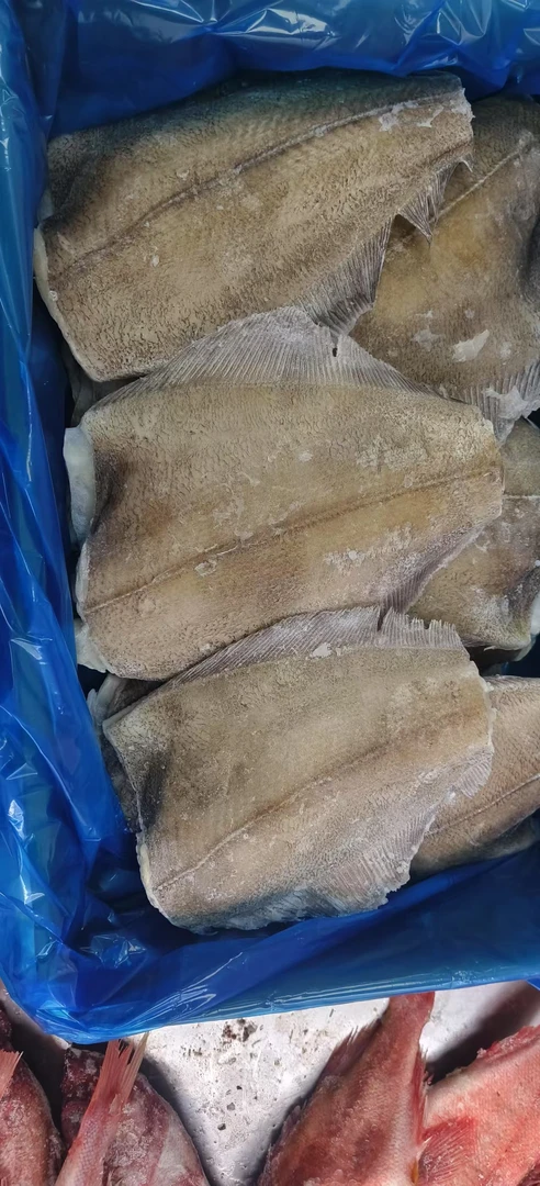 【1号】  大号深海鲽鱼身 现称现发