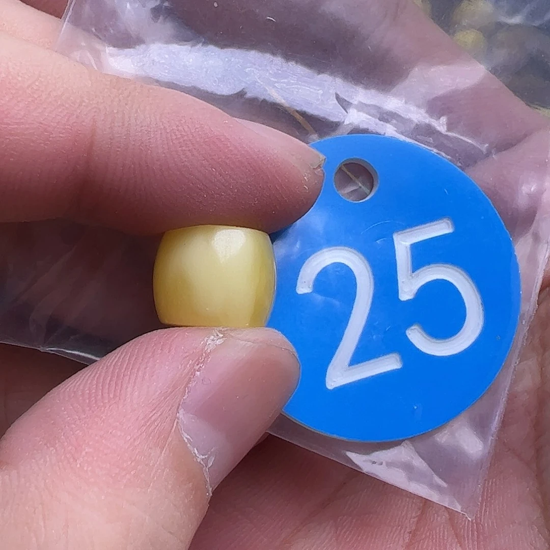 蜜蜡未镶嵌珠宝奇石12.5mm微花粉