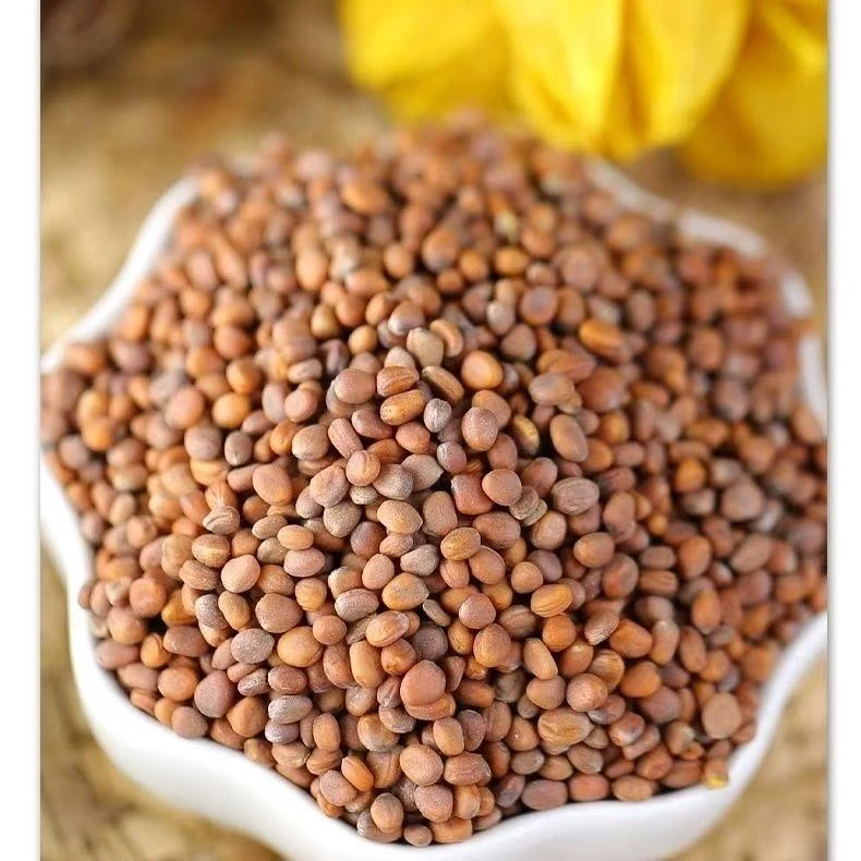 【玉姐精选】莱菔子泡茶泡水 500g