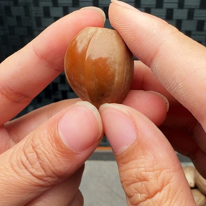 自***由橄榄核手串/手链橄榄