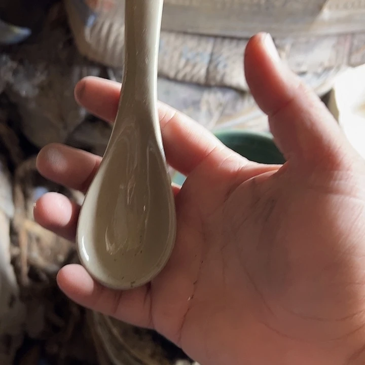 瓷粗瓷勺子10支粗瓷