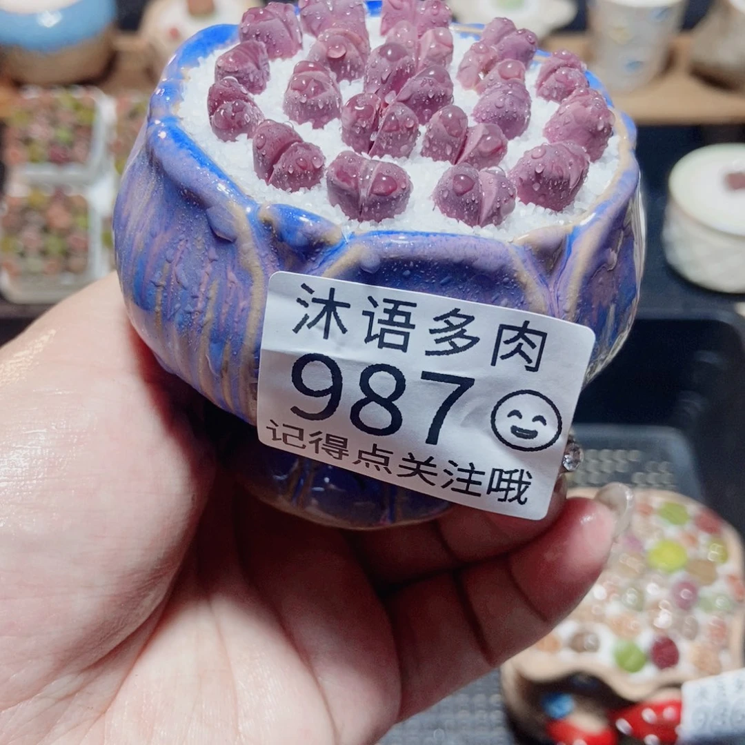 一物一拍 所见即所得 987