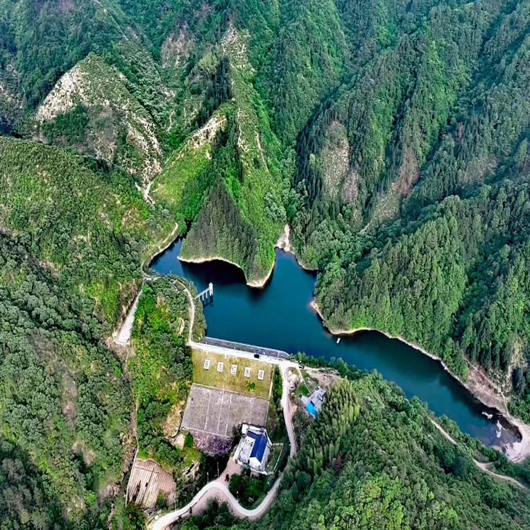 兰花茶，花香，醇和回甘鲜爽