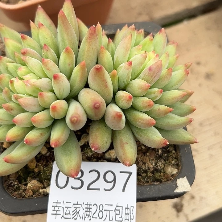 幸运的是我还没遇到