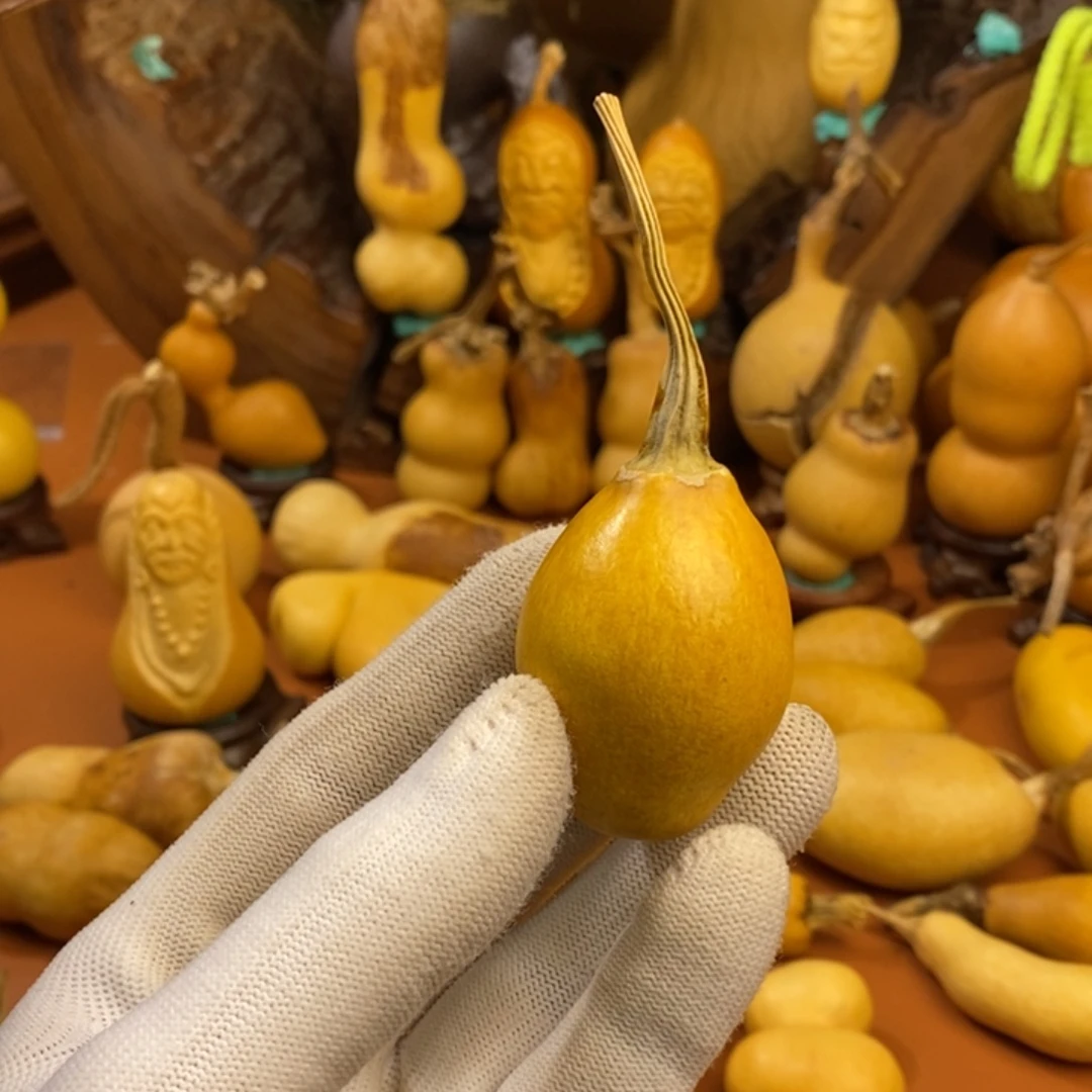 比***耶经理来啦教练咯教练咯