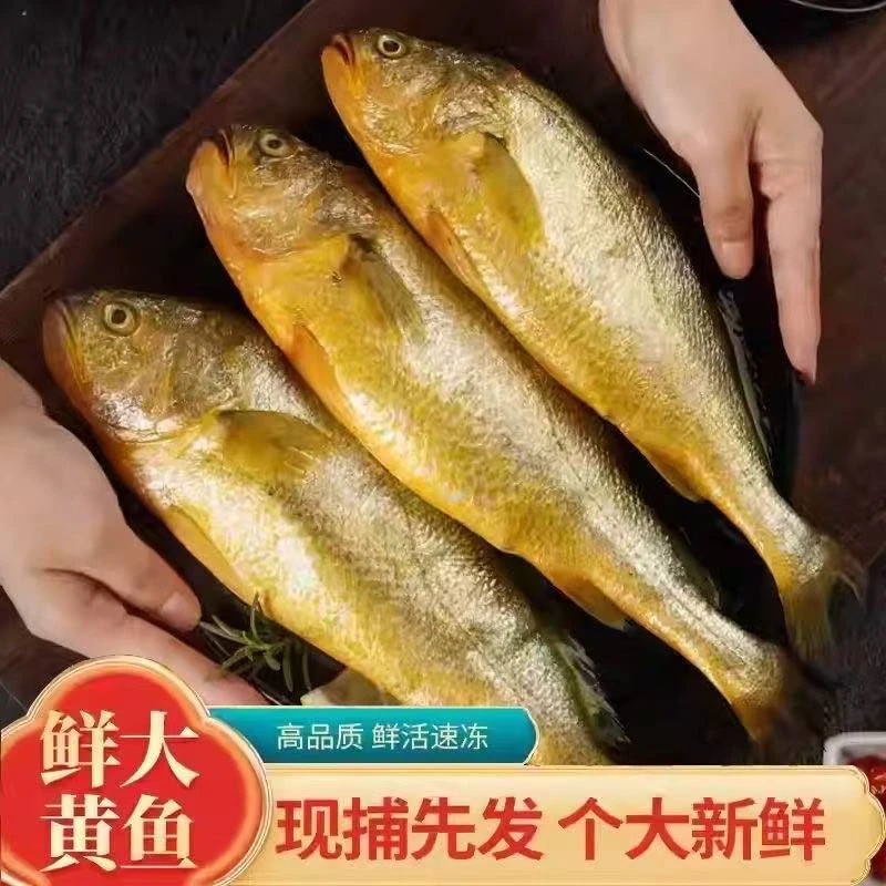 【买六条送两条】深海新鲜大黄鱼黄花鱼冰鲜速冻发货海鱼 京东发货
