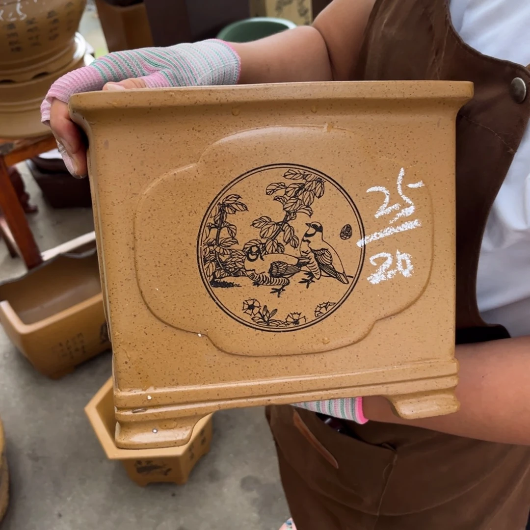 紫砂花盆盆景艺术