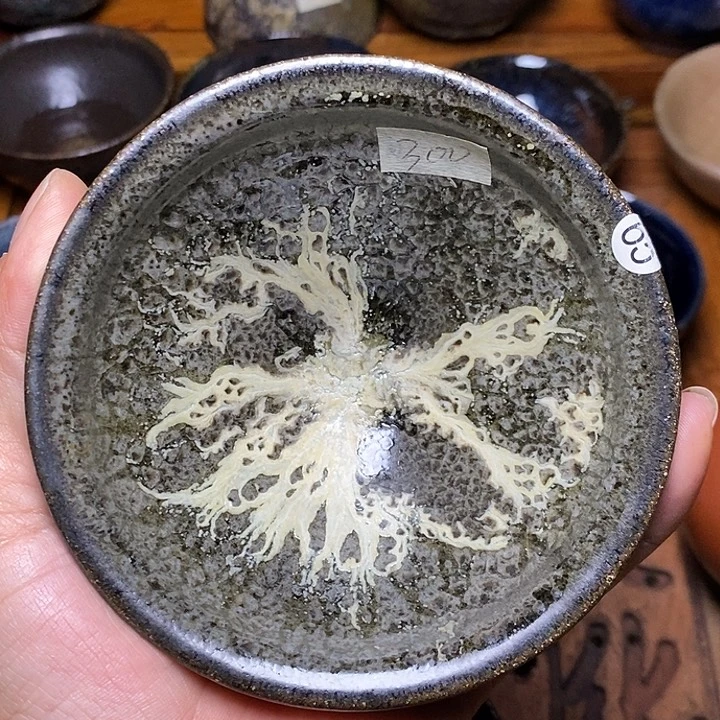 茶盏10.6健健康康健健康康健健康康