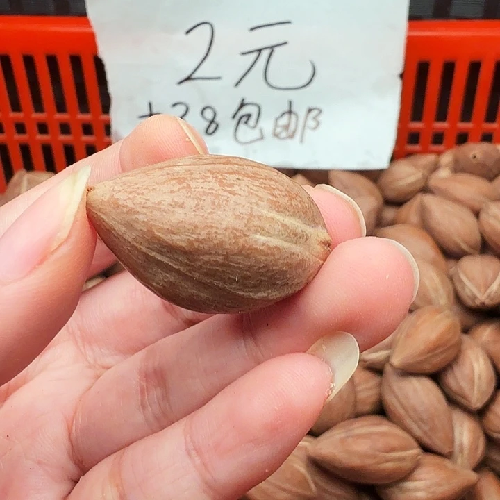 新***利手串/手链橄榄核橄榄