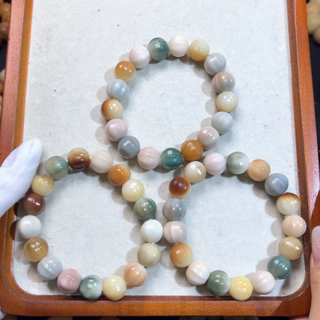 菩提根/象牙果吊坠鲨鱼贝卡14