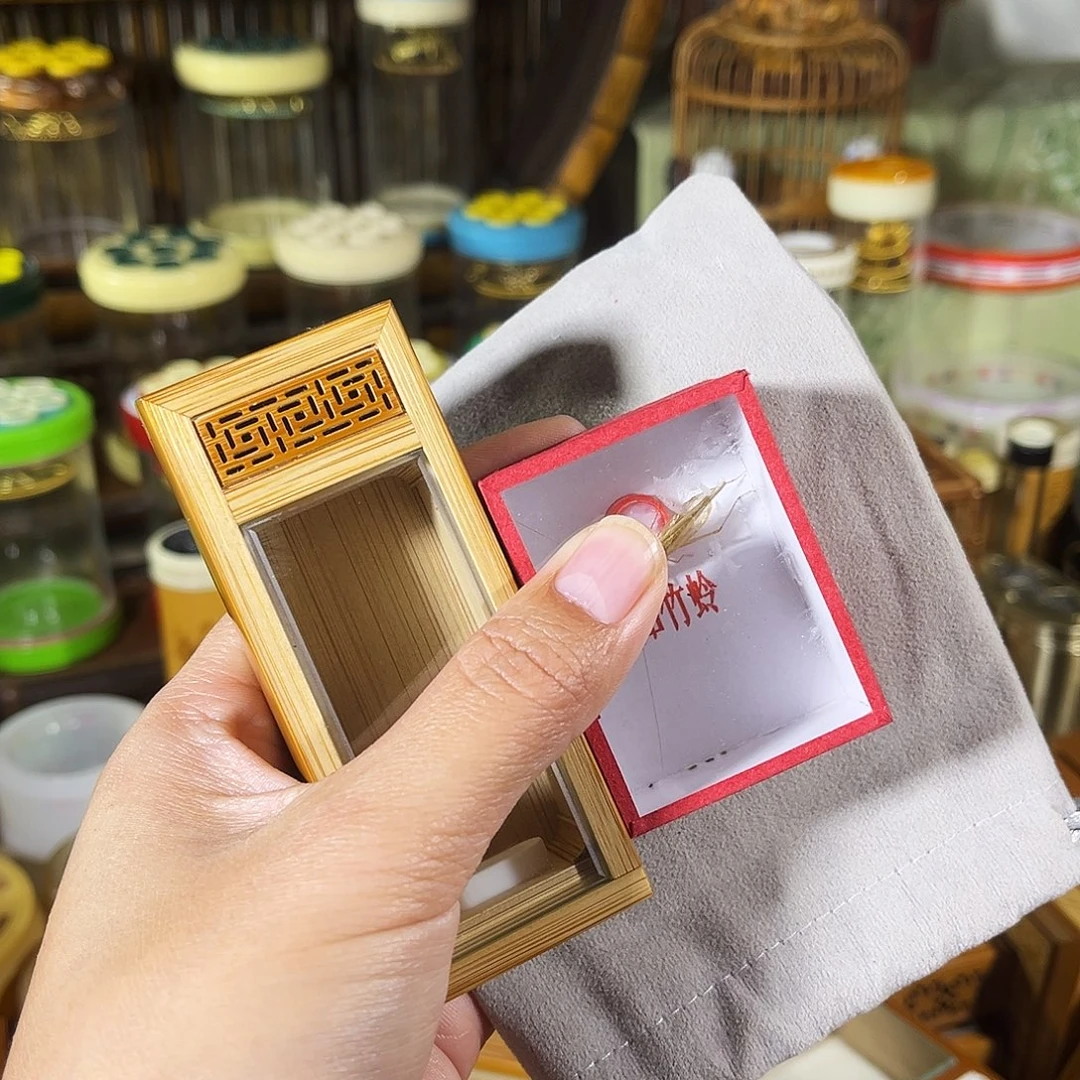 蟋蟀老竹竹蛉盒+竹蛉+布套