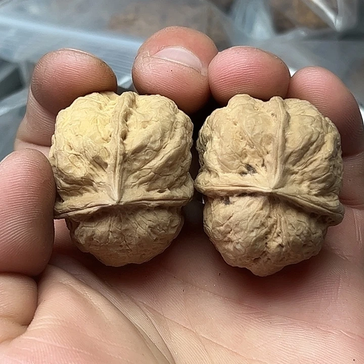 把件文玩核桃25号开背38尺