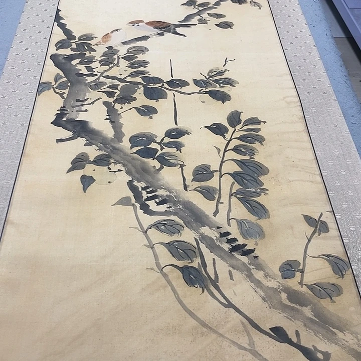 疏***呀绢本画画画画画画画