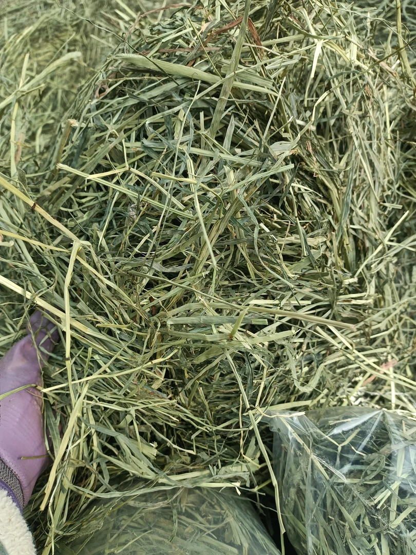 24年晒干优质提摩西干草宠物兔粮高纤维牧草磨牙饲料五斤包邮