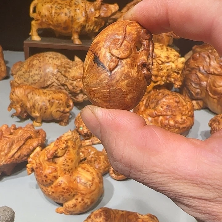 柏木浩*太行崖柏钱代