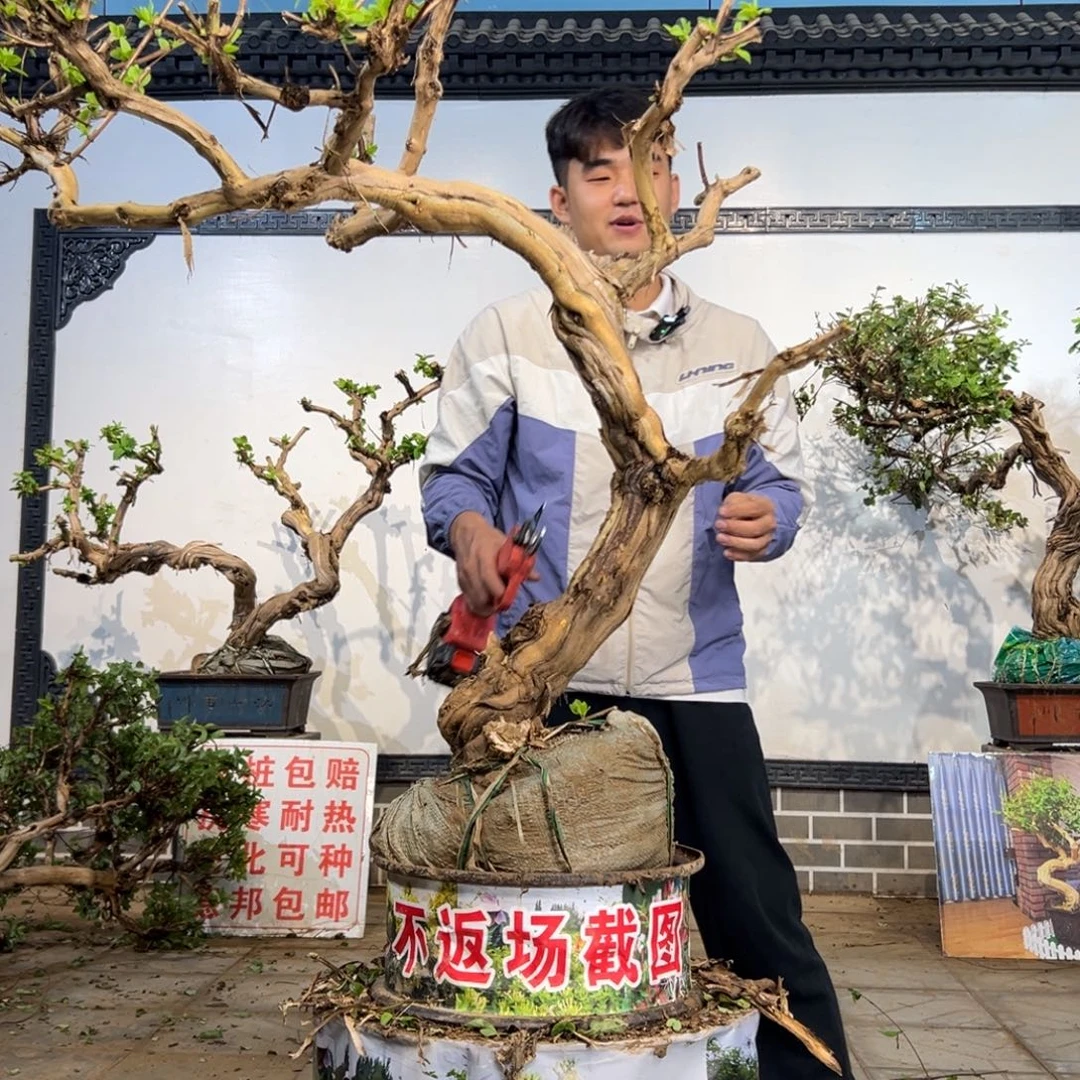 完全开放金银开花69665698898