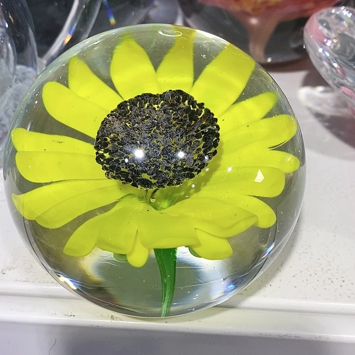 微瑕1566632523255565568