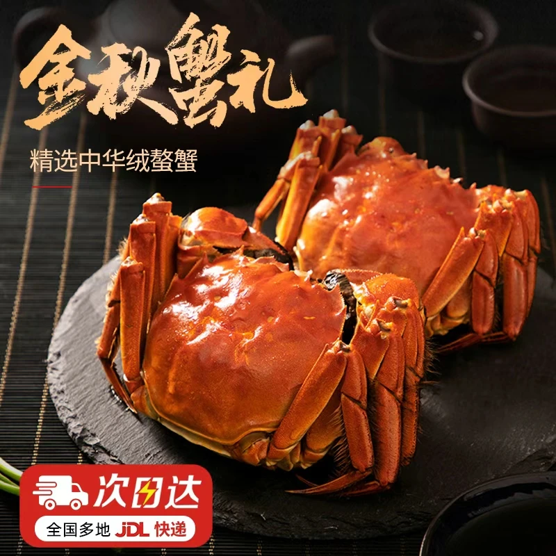 【活蟹现发】精品大闸蟹 全母蟹3.7-3.4两 共8只 u2
