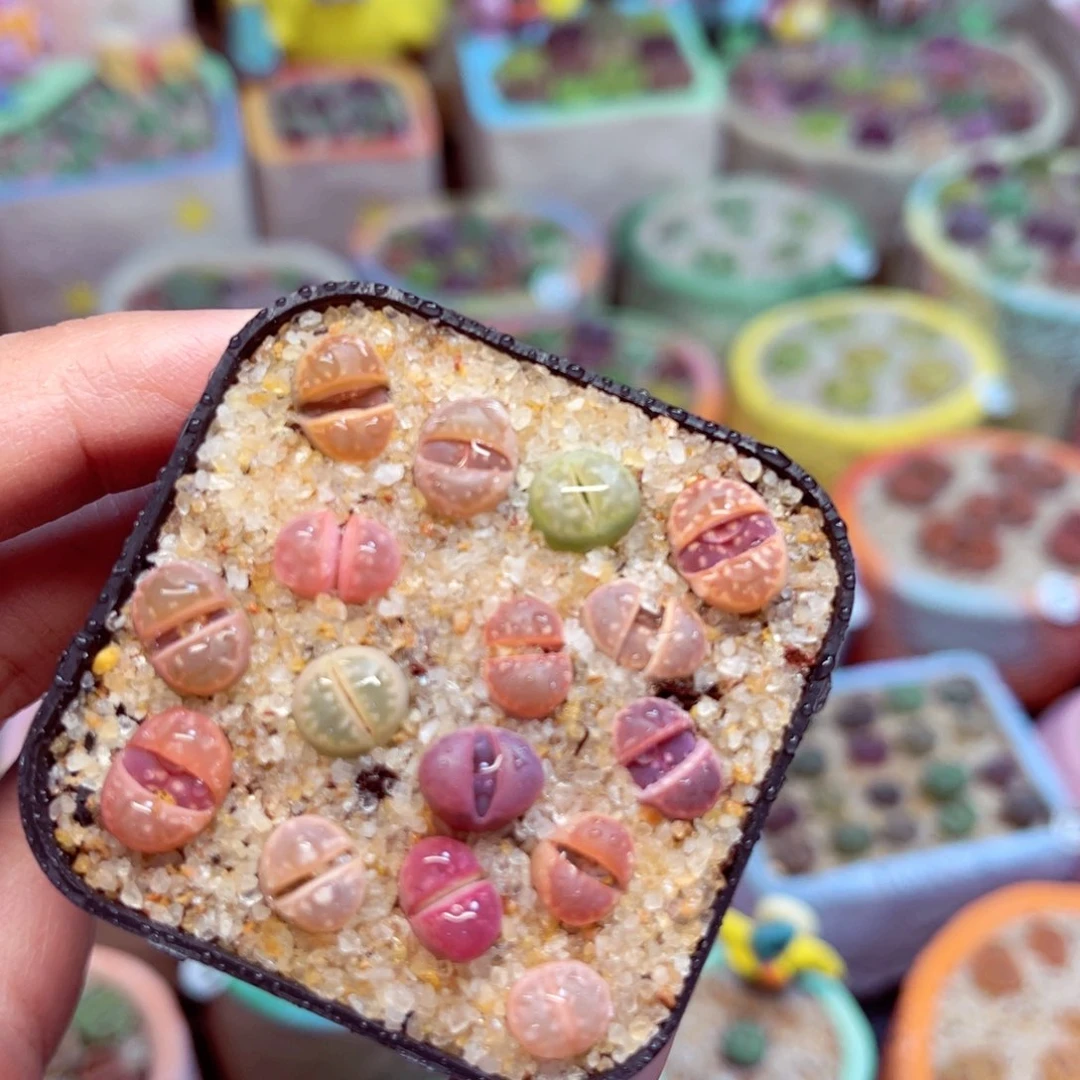 310。8888888888888888888