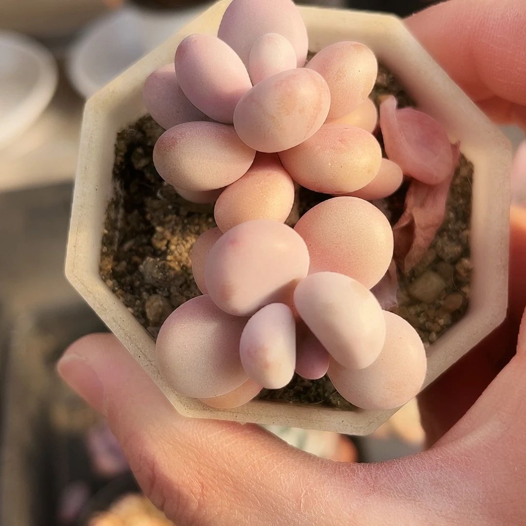 L****⋆246哈哈哈哈哈哈哈哈