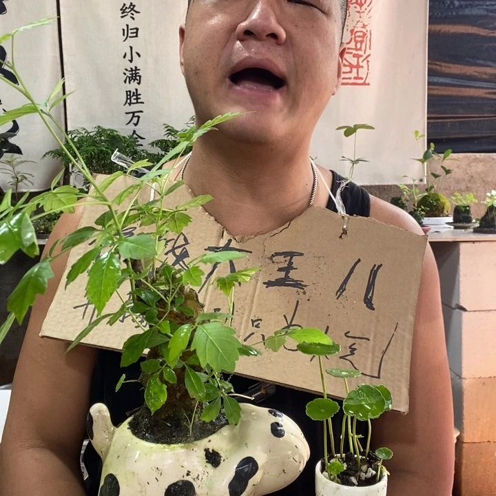 无花朵退款拉黑拉黑14
