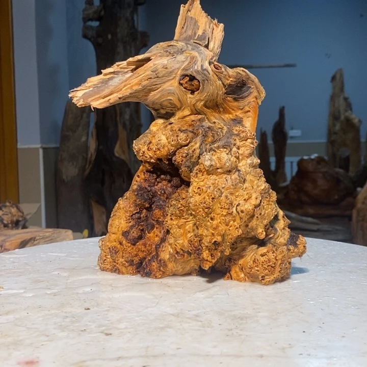 5**1我们都是你的粉丝10