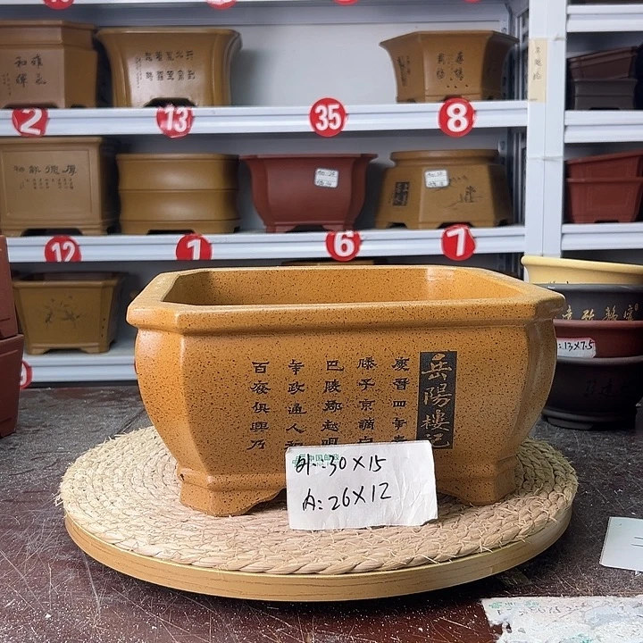 紫砂花盆蛇年大吉