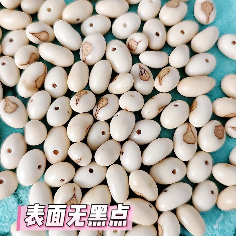 非金属木质手链 蒲葵籽小佛眼菩提已抛光没打孔60颗DIV手工串珠