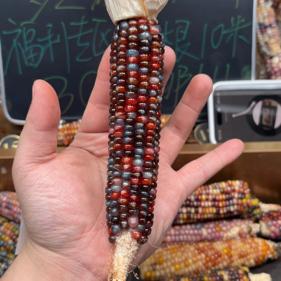 柏香籽/百香籽吊坠万*。