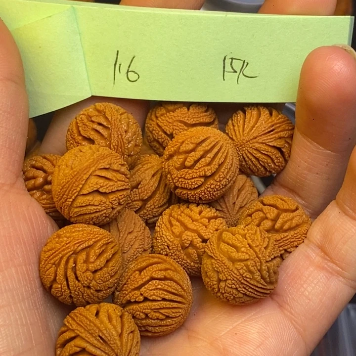 桃核吊坠秦岭龙纹桃核15尺寸