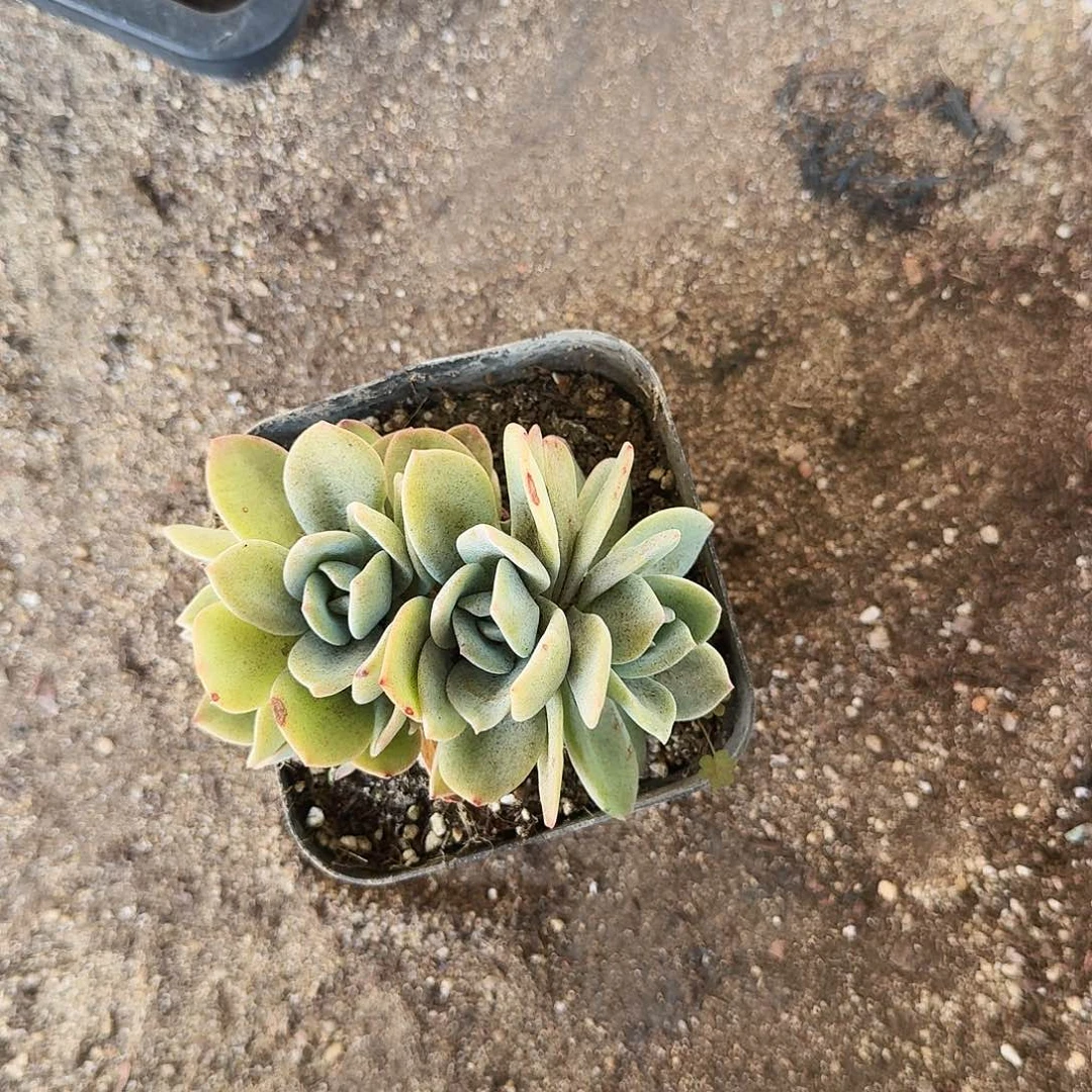 不**莲哈哈哈哈哈哈哈哈哈哈哈哈