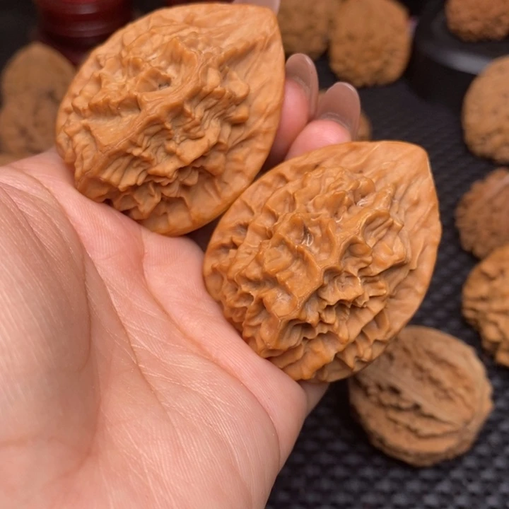 秦岭野生3333333333