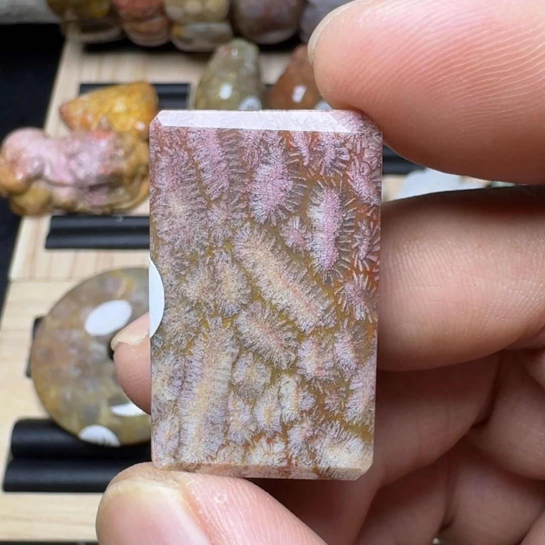 未镶嵌纯天然色有机玉石保真色硅化玉