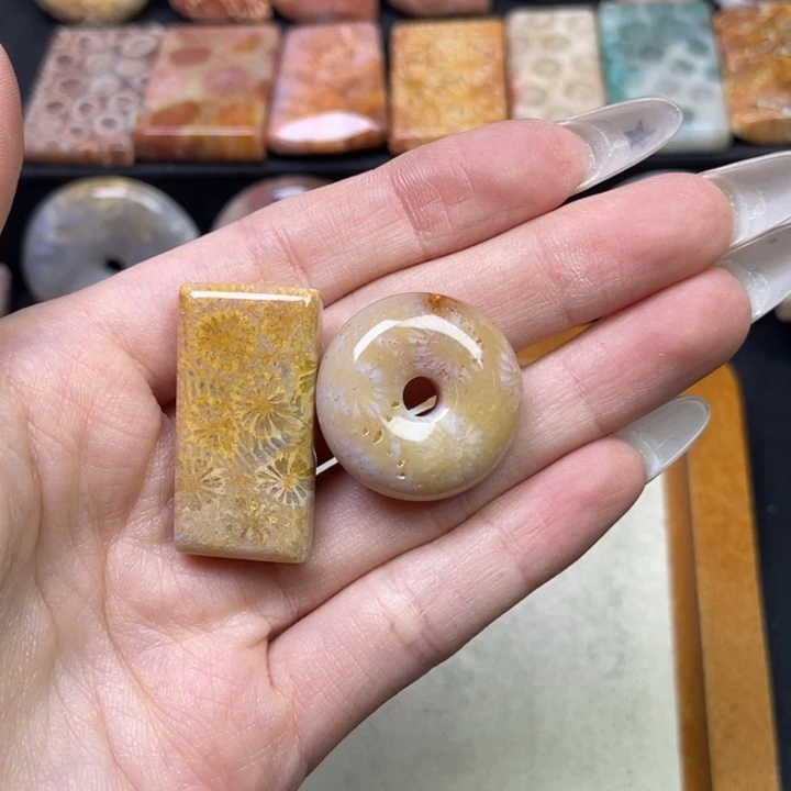 未镶嵌吊坠硅化珊瑚（珊瑚玉）