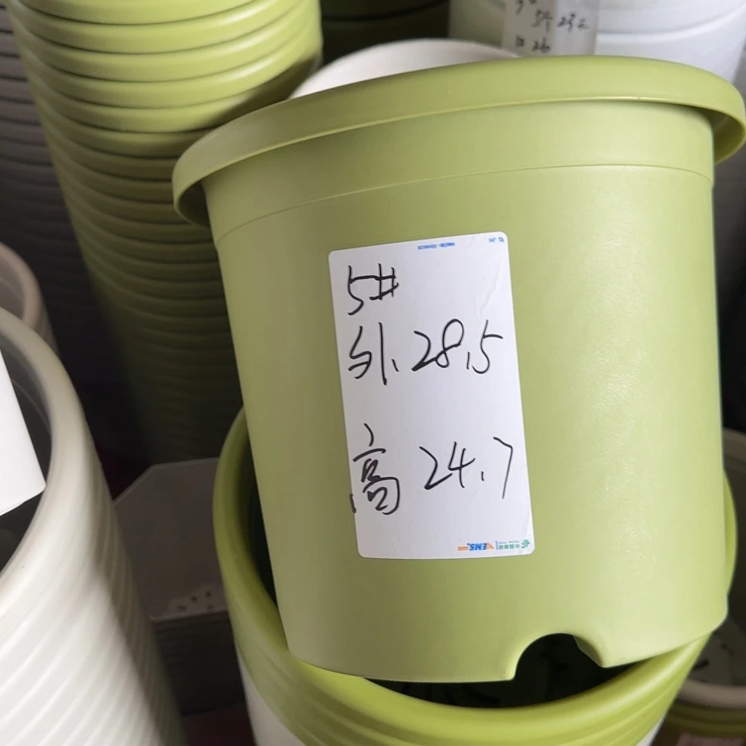 树脂四季5号无托6个果绿微瑕