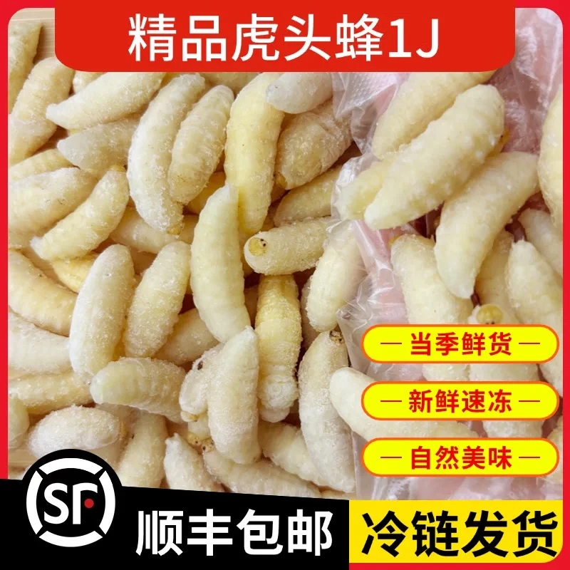【顺丰包邮】云南特产虎头蜂蜂蛹一级二级四级蜂蛹可食用昆虫蜂蛹