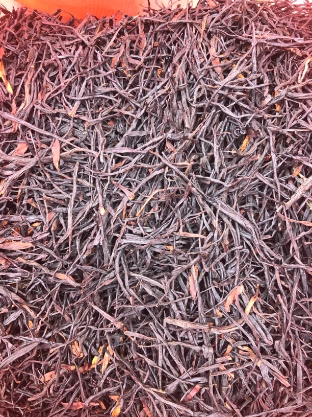 2025年，头春头采，野生古树香妃红茶