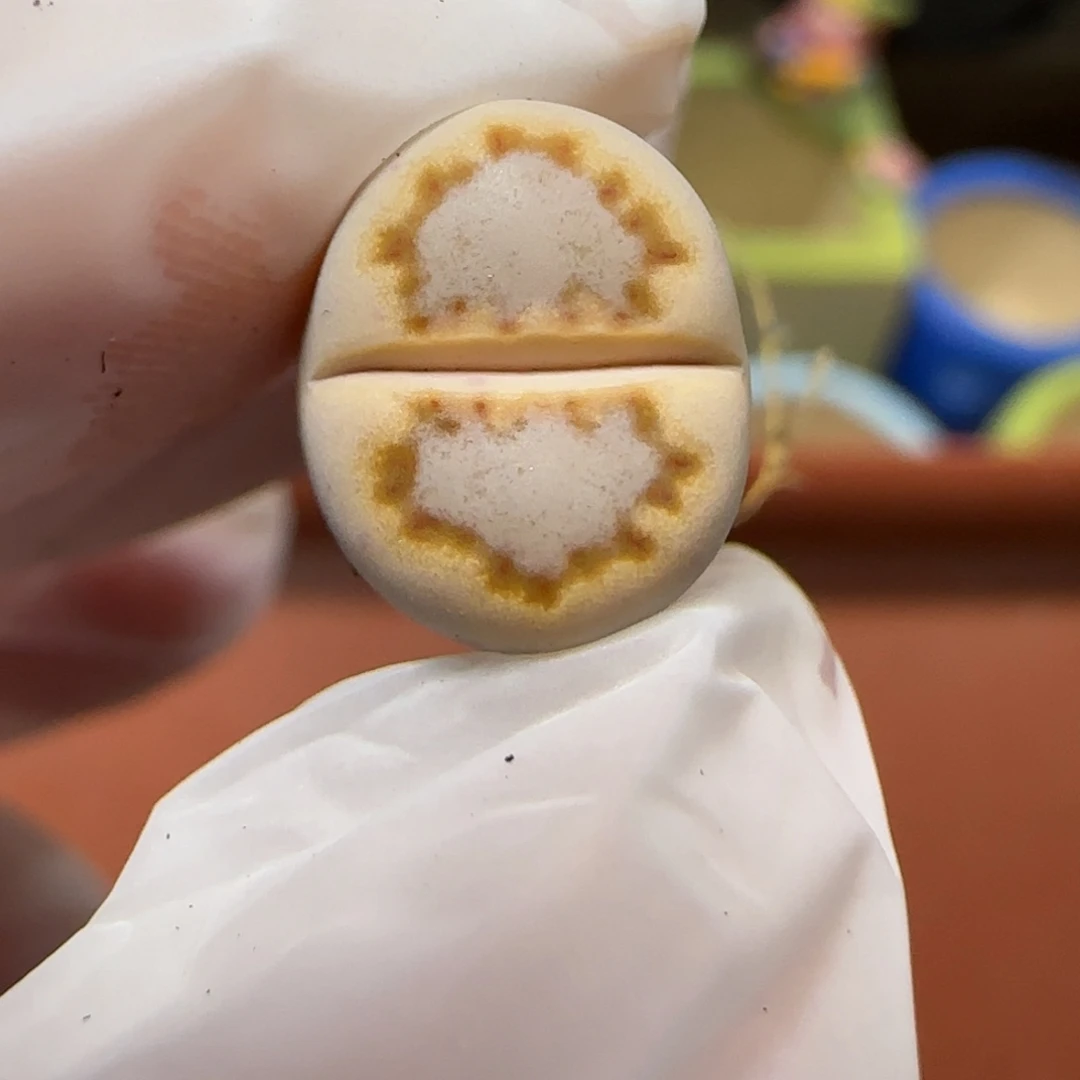 12.27.c24饼干.9011