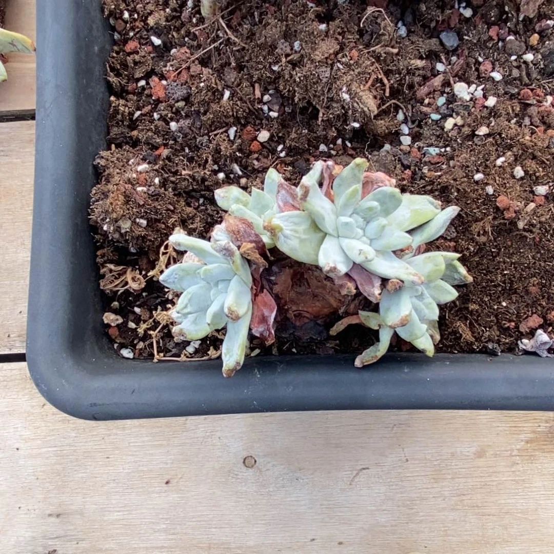 1214哈哈哈哈哈哈哈哈哈哈