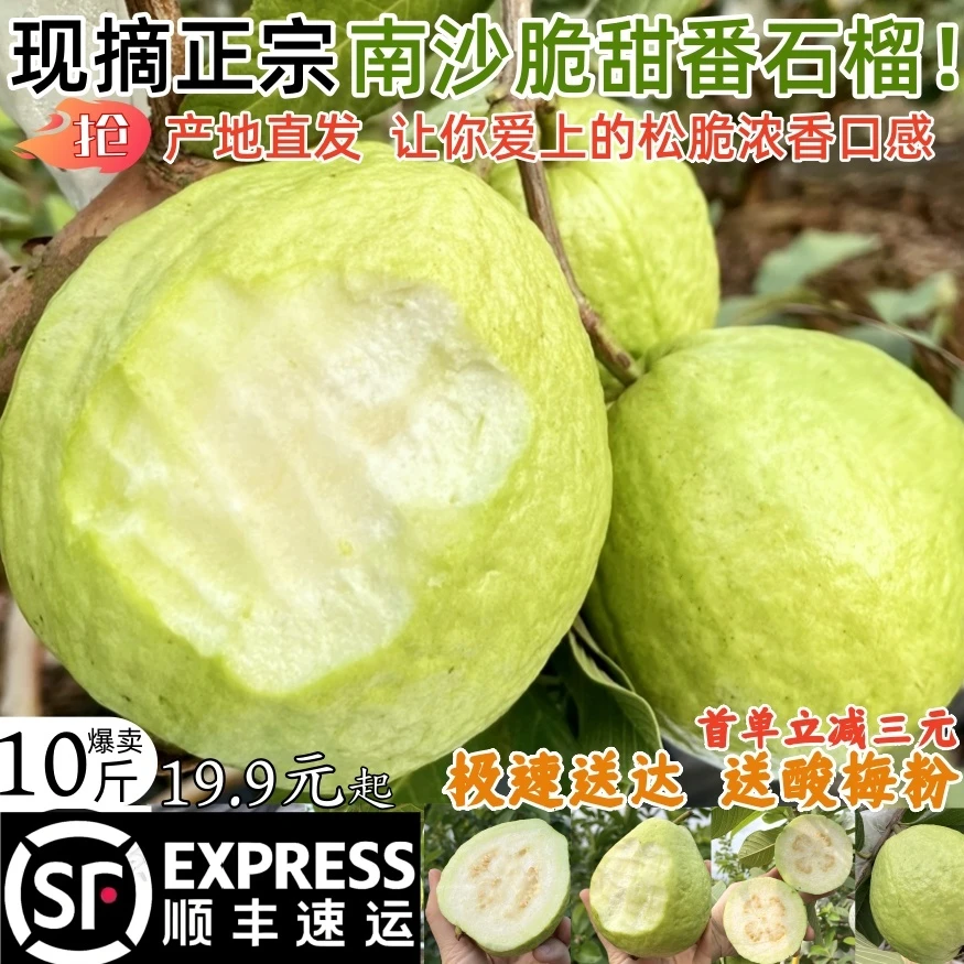 顺丰包邮脆甜浓香】南沙番石榴万顷沙白心芭乐新鲜酸梅粉低糖孕妇